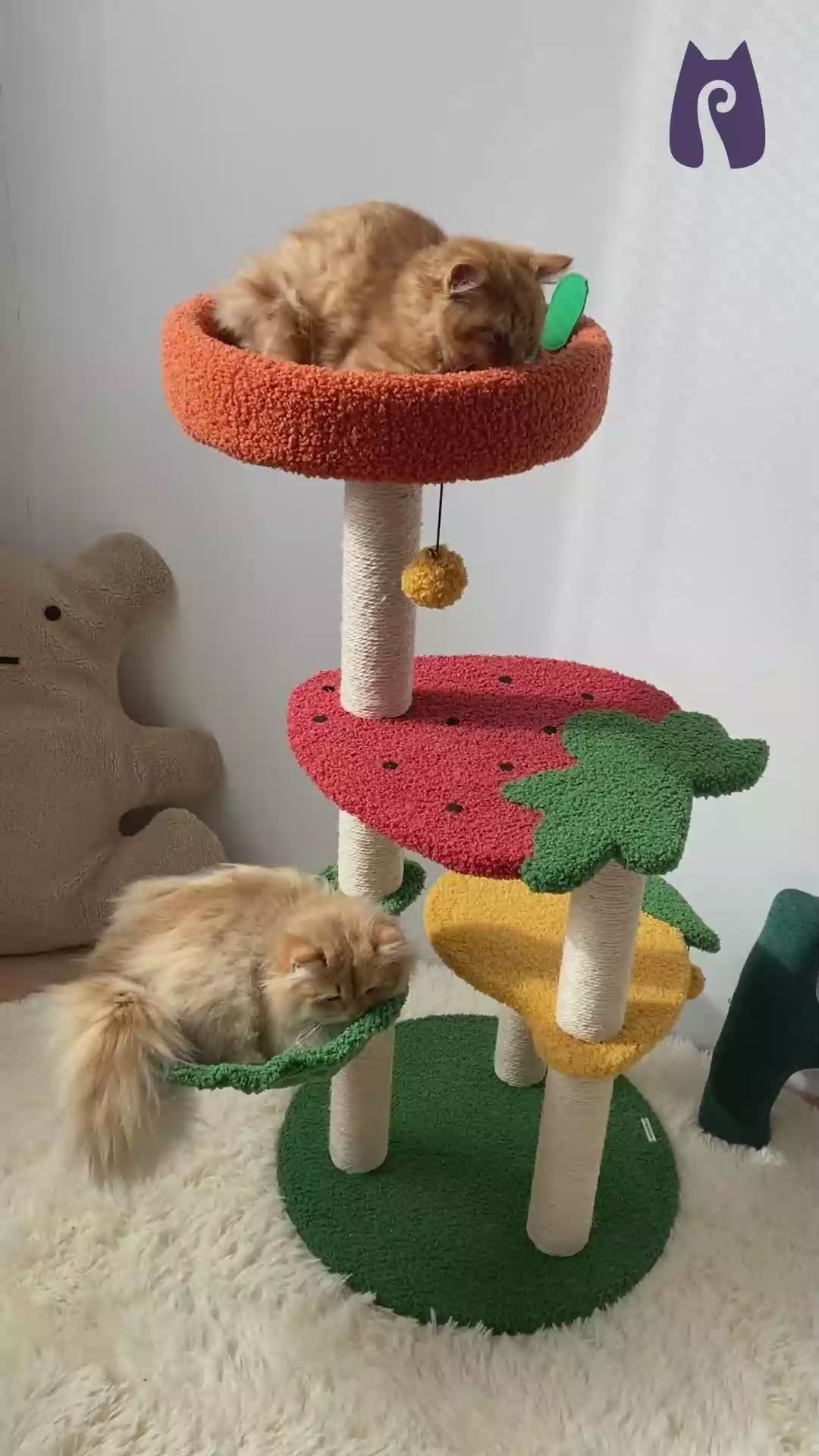 Two cats playing on the Fruit World Cat Tree