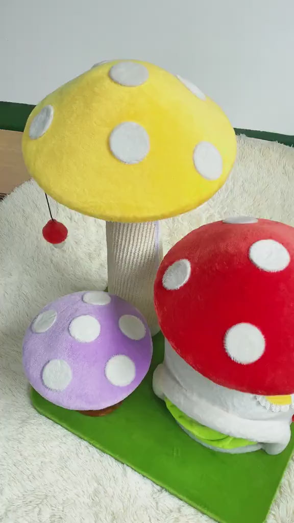 From kittens to adult cats, playing on the Magic Mushroom Cat Tree